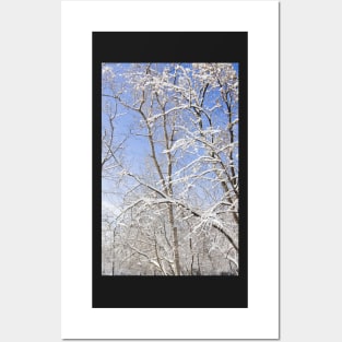 Winter landscape Posters and Art